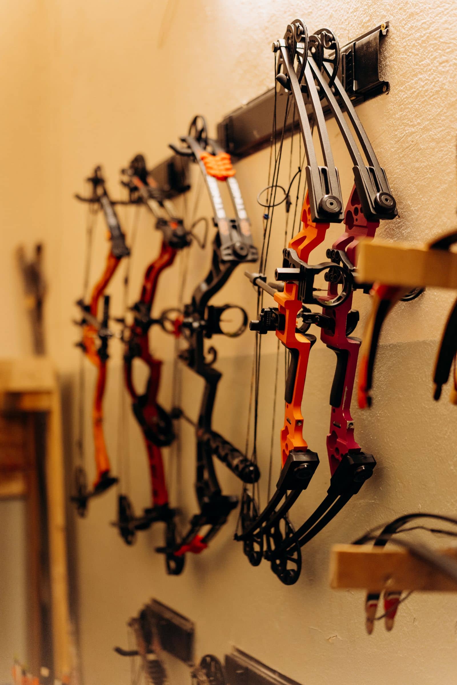 Hunting & Shooting Accessories products