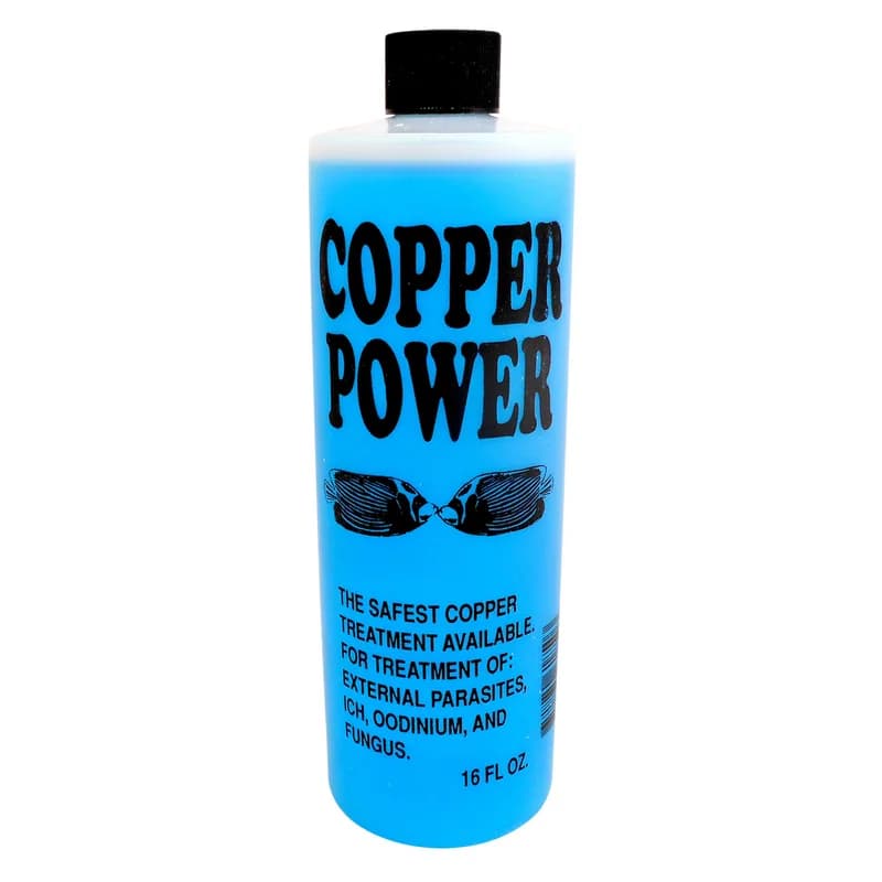 Copper Power Blue for Saltwater, 16 fl oz