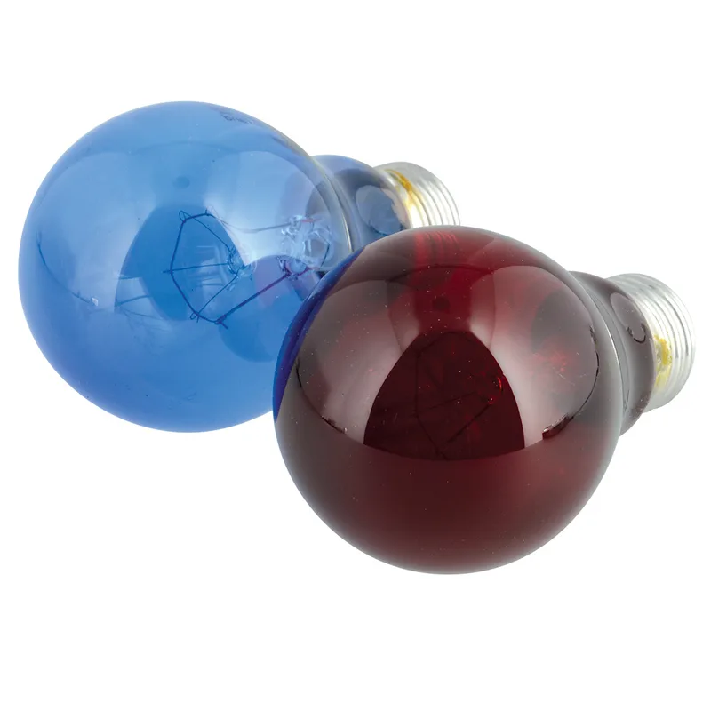 Day & Night Reptile Bulb Combo Pack, 60 W